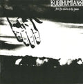 Subhumans - From The Cradle To The Grave (LP)