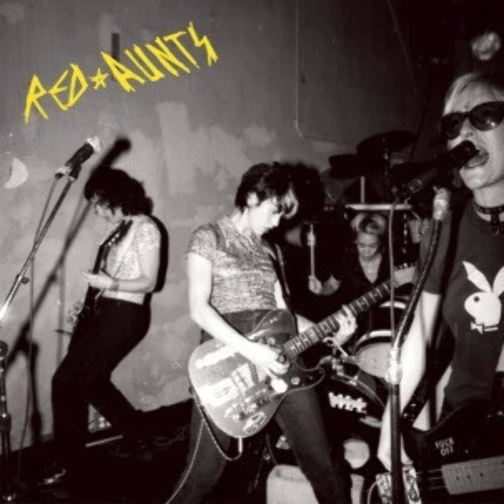 Red Aunts - Come Up For A Closer Look (2xLP)