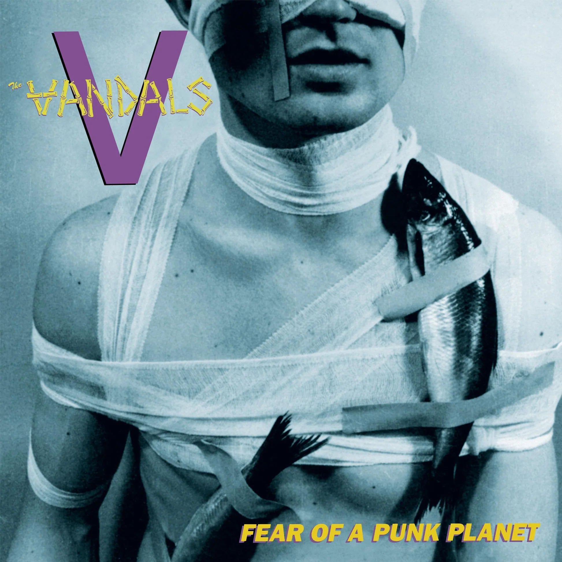 Vandals - Fear Of A Punk Planet (LP): COLORED