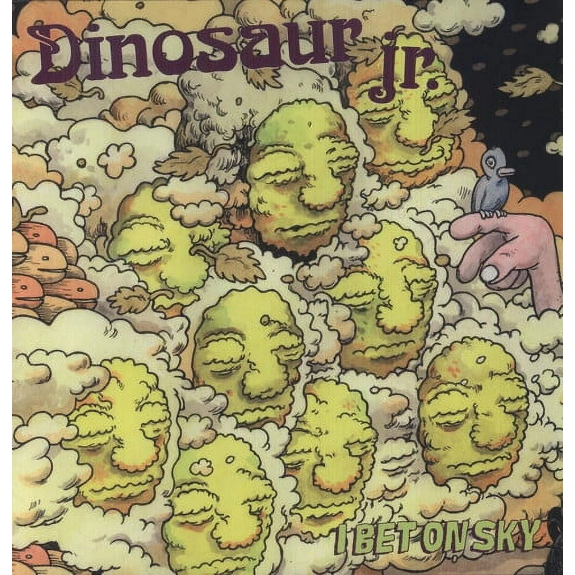 Dinosaur Jr. - I Bet On Sky (LP)