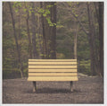Streetlight Manifesto - The Hands That Thieve (LP): COLORED
