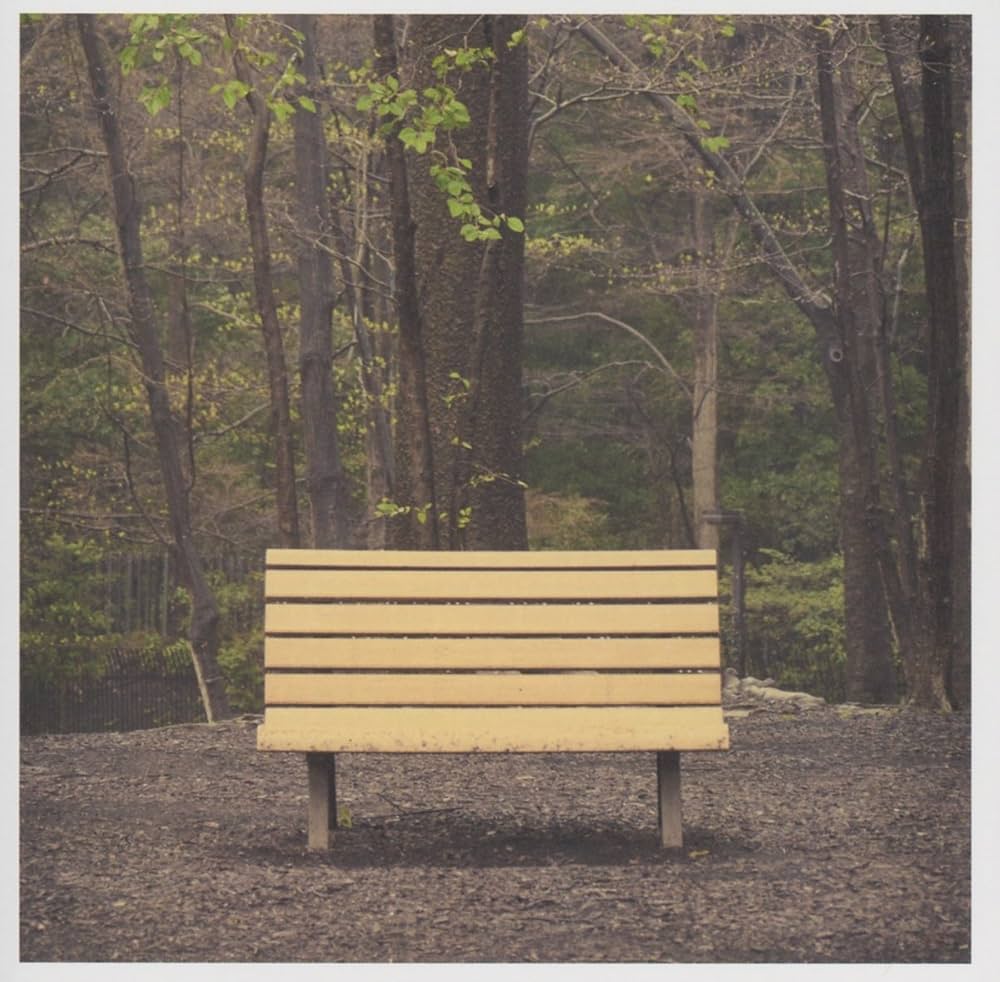 Streetlight Manifesto - The Hands That Thieve (LP): COLORED