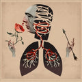 Hot Water Music - Vows (LP): COLORED