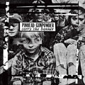 Pinhead Gunpowder - Carry The Banner (LP): COLORED, Indie